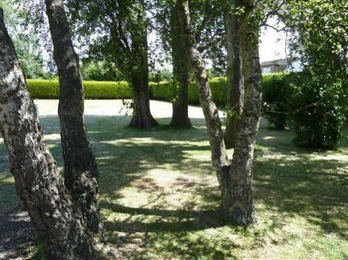 فندق Merstonفي  Copthorne Caravans المظهر الخارجي الصورة